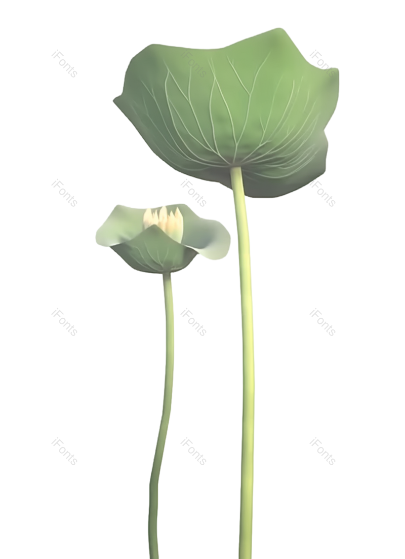 叶子图片,节日元素,夏至PNG,元素免抠素材